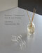 Emi Hirose × Healthian-wood   Glass & Aroma Workshop